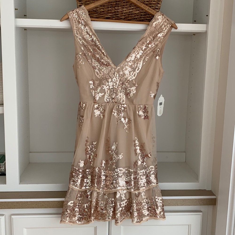Gorgeous Altar’d State sequin party dress pinkish